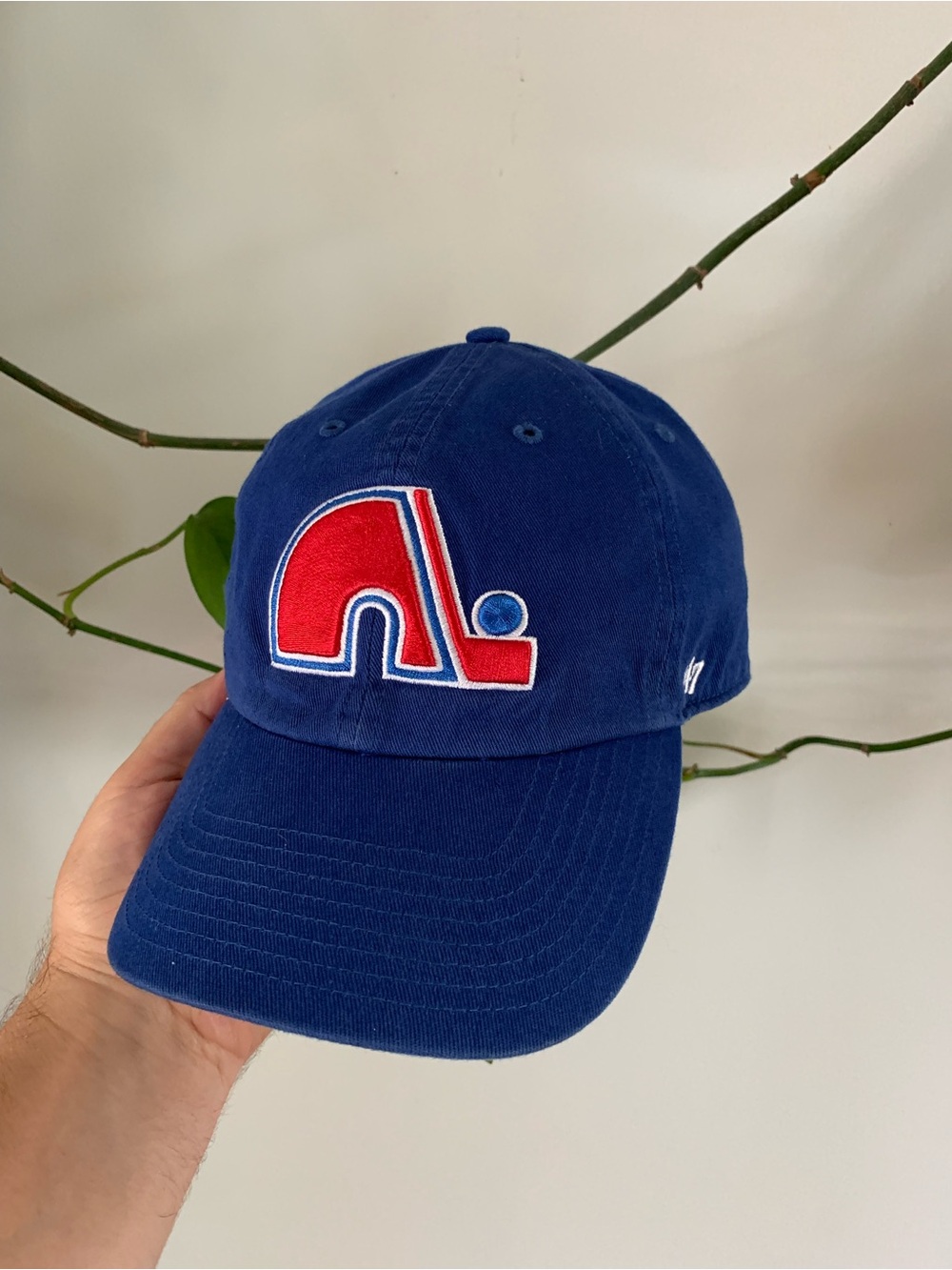 Quebec Nordiques Hat
